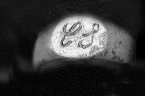 rdp201501p006 024 page19 image28