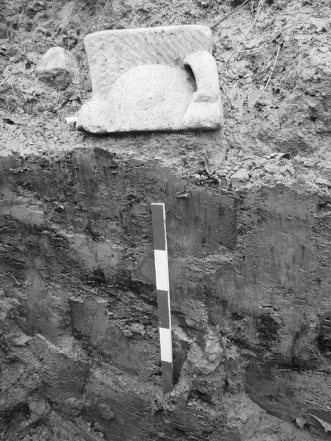 rdp201502p039 041 page3 image2