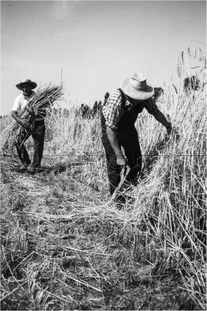 rdp201603p071 086 page16 image11