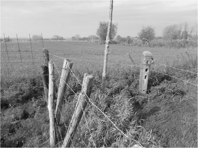 rdp201604p112 149 page38 image25