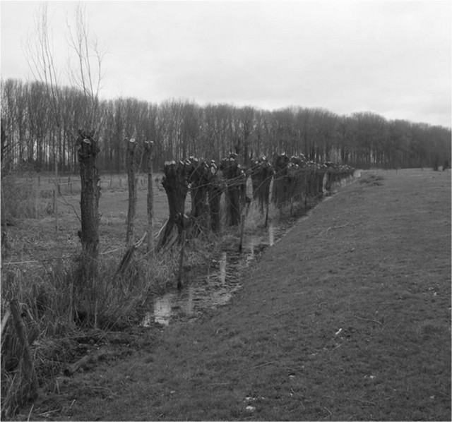 rdp201604p112 149 page38 image31