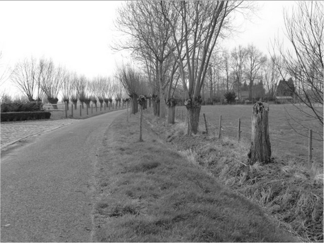 rdp201604p112 149 page38 image35