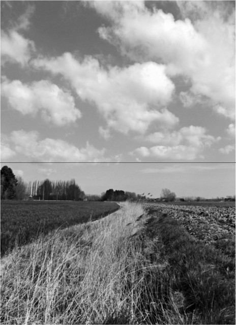 rdp201604p112 149 page38 image40