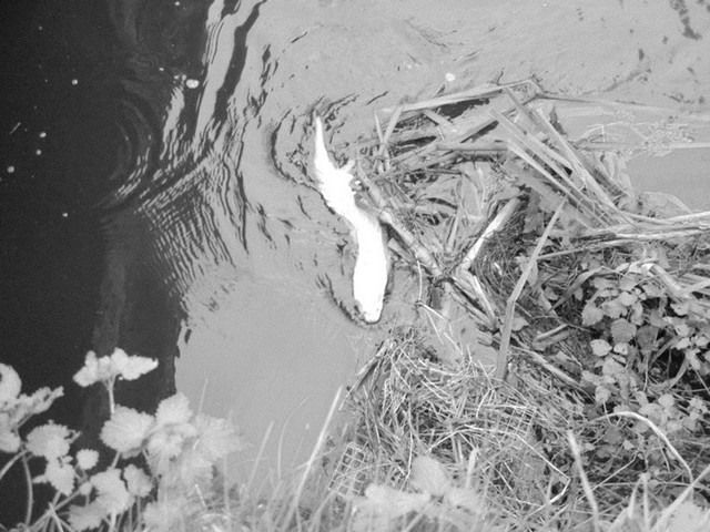 rdp201801p018 023 page6 image2