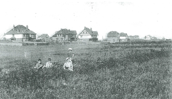 cottages-gezien-vanaf-elisabetlaan